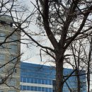 기흥 테라타워 지식산업센터 이미지