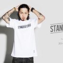 스텐다드커브(STANDARD CURVE)
