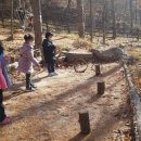 김천 유아숲체험원 이미지