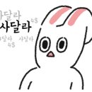 달꽃스시 무거점 이미지