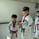 한국체대 효자효녀 태권도 이미지