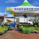 아린농장 이미지