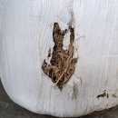 옛소농장 이미지