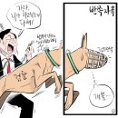 윤석열 현상, 왜 선진화된 정치 현상인가 이미지