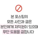 미대옹냐