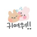 올댓돔