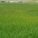 경주시농업기술센터 이미지