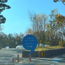 올데이 로얄포레 | 충주 올데이 로얄포레cc 날씨, 잔디 퍼블릭골프장 가을 골프 라운딩 후기