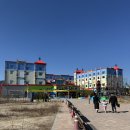 안의식당 | 춘천 레고랜드 셔틀버스 식당 시티레스토랑 솔직후기