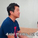이스타 이미지
