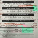 테일러 필라테스&피티 | 허리에서 ‘뚝뚝’ 소리가 나는 이유와 해결 방법