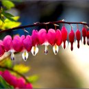 가야3리 이미지