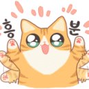 코즈이비인후과의원 이미지