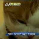 서울갈비대전 이미지