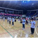 섬강초등학교 이미지