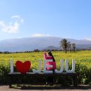 주정차38 | 제주도렌트카 초보 운전자를 위한 안전 운전 팁! 확인하고 신나는 여행