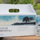 손찬락의장수이야기