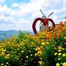 세계 속 가정식 레시피 이미지