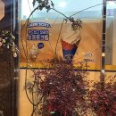 미니스톱장유덕정점 이미지