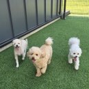 옹기종기 이미지