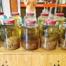 개성삼계탕 이미지