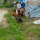 굿마루농장 이미지