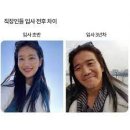콩비비
