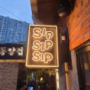 천사펫하우스 | 문래동 애견동반 맛집 sip,sip,sip 와인과 파스타가 맛있는 핫플