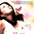 네코짱