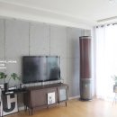 여름식물 인테리어 이미지