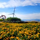 28산우회 10월 가을여행 (거창 감악산&아스타국화축제) 이미지