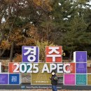 꽃님반 김로운 📕책책별별여행📕 경주🍁 이미지