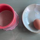 에그패스팅 다이어트 성공과 실패, 두번의 실제 후기