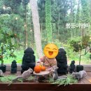 아기다람쥐 | [내돈내산]18개월 아기 제주스냅 후기 - 나나스냅 다람쥐스냅