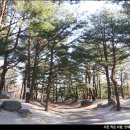 엔젤리너스 남원도통점(다이닝) | 국내호캉스추천, 힐링 호텔 켄싱턴설악밸리 부대시설