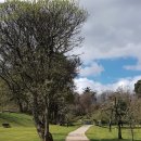 구독살롱 이미지