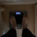 조한의원 | 부산다이어트한의원 내돈내산 솔직후기 -6.8kg 감량중