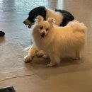 커피나무&와플칸 이미지