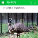 스맛시티 이미지