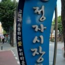 광발이 이미지