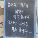 비로소봄 이미지