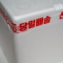 참 진담 | 진담김치 묵은지, 포기김치 2kg씩 주문해 먹어본 신선한 국산 재료로 만든 고급김치 후기!
