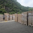 SA모터스 이미지