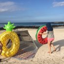 하루민박 이미지