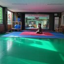 태권도 골든로드 이미지