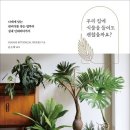 식물