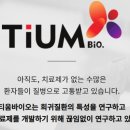 티움인그린 이미지