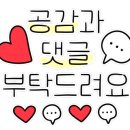 르디투어 고척 이미지