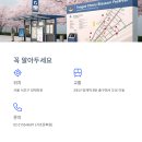벚꽃살롱