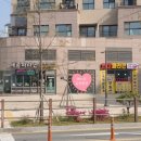 힐피아노교습소 이미지